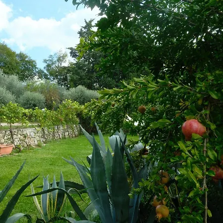 Ca' Mari Torricelle Verona