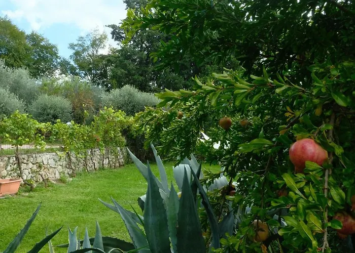 Ca' Mari Torricelle Verona